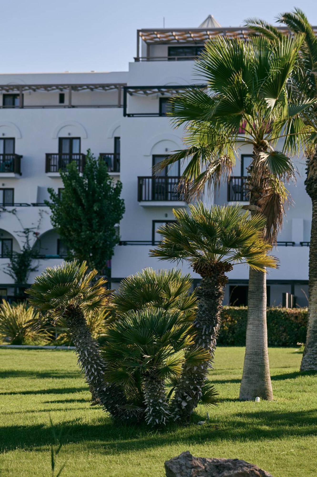 Oceanis Beach & Spa Resort Psalidi  Dış mekan fotoğraf